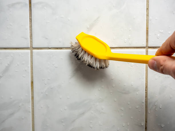 Trusted Magna, UT Mold Removal Experts