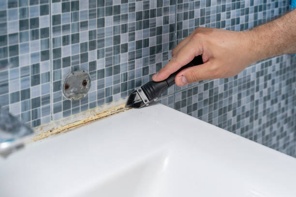 Mold Testing and Removal in Magna, UT