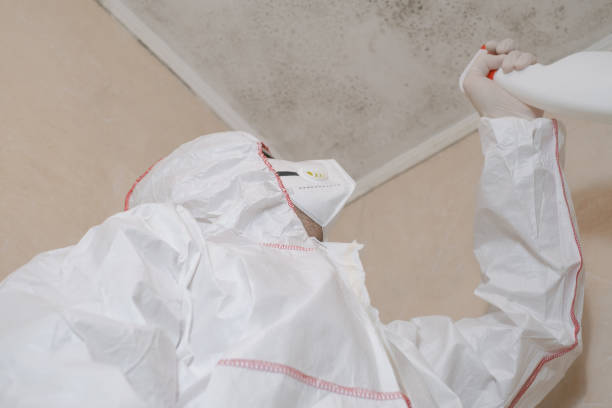 Best Certified Mold Removal  in Magna, UT
